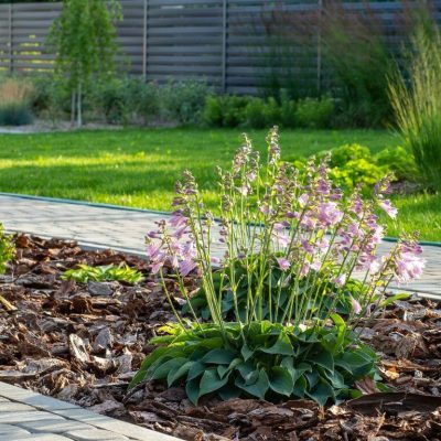 Garten Bewässerungssystem Garten Bewässerung mit One Harbour