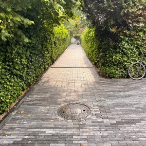 Pflasterarbeiten Einfahr Pflasterarbeiten Einfahr
